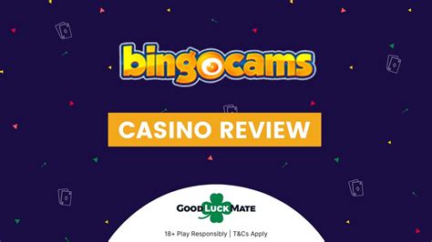 Bingocams casino apostas